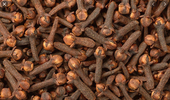 লবঙ্গ/Lobongo Masala