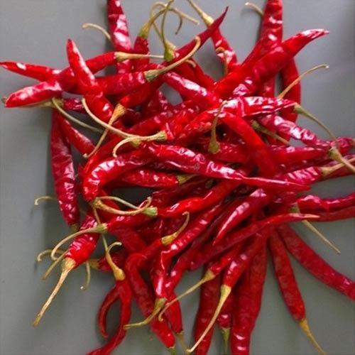 Red Chili ( Sukna Morich / শুকনা মরিচ )