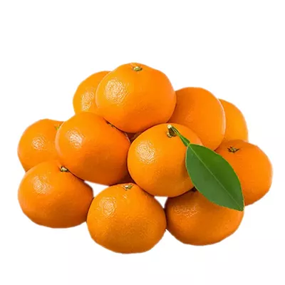 China Orange(চায়না কমলা)