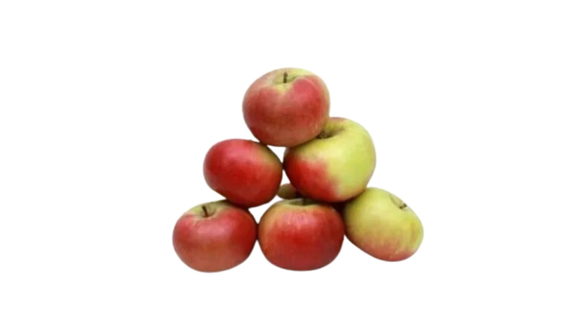 Apple Australian Small