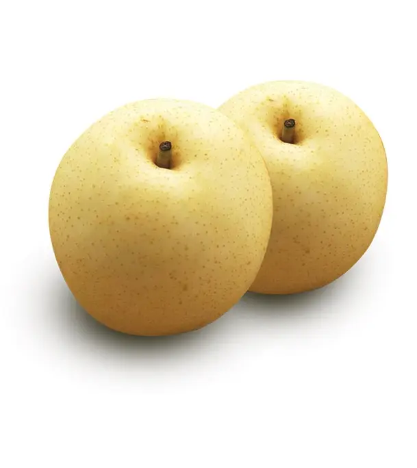 Naspati Pear