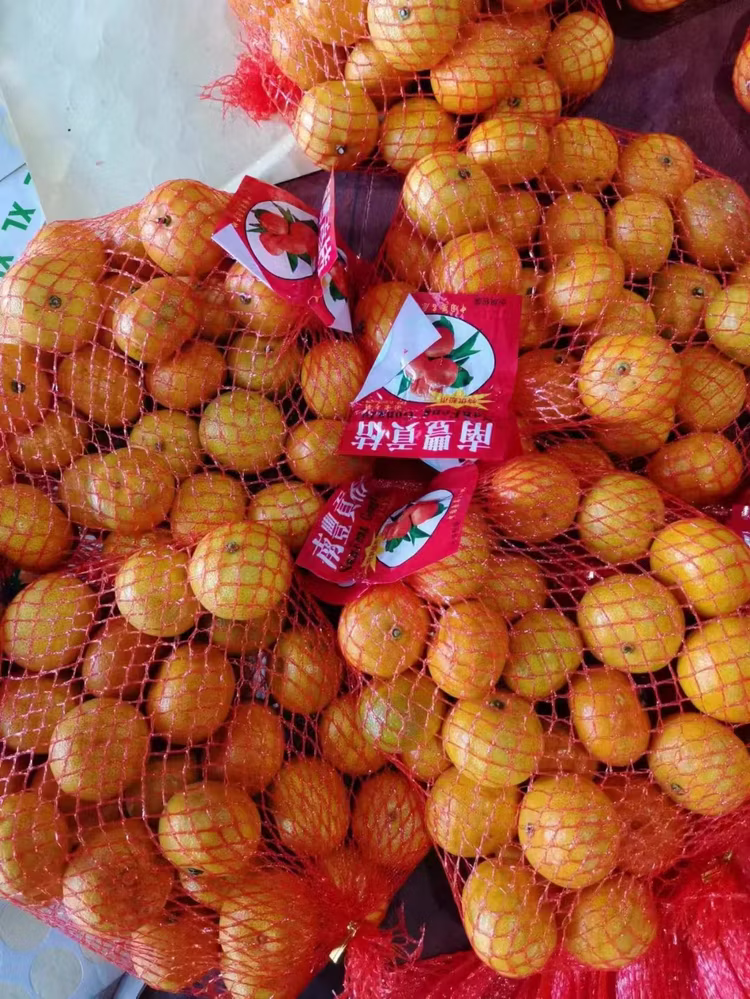 Baby Mandarin Small Orange Nanfeng Orange