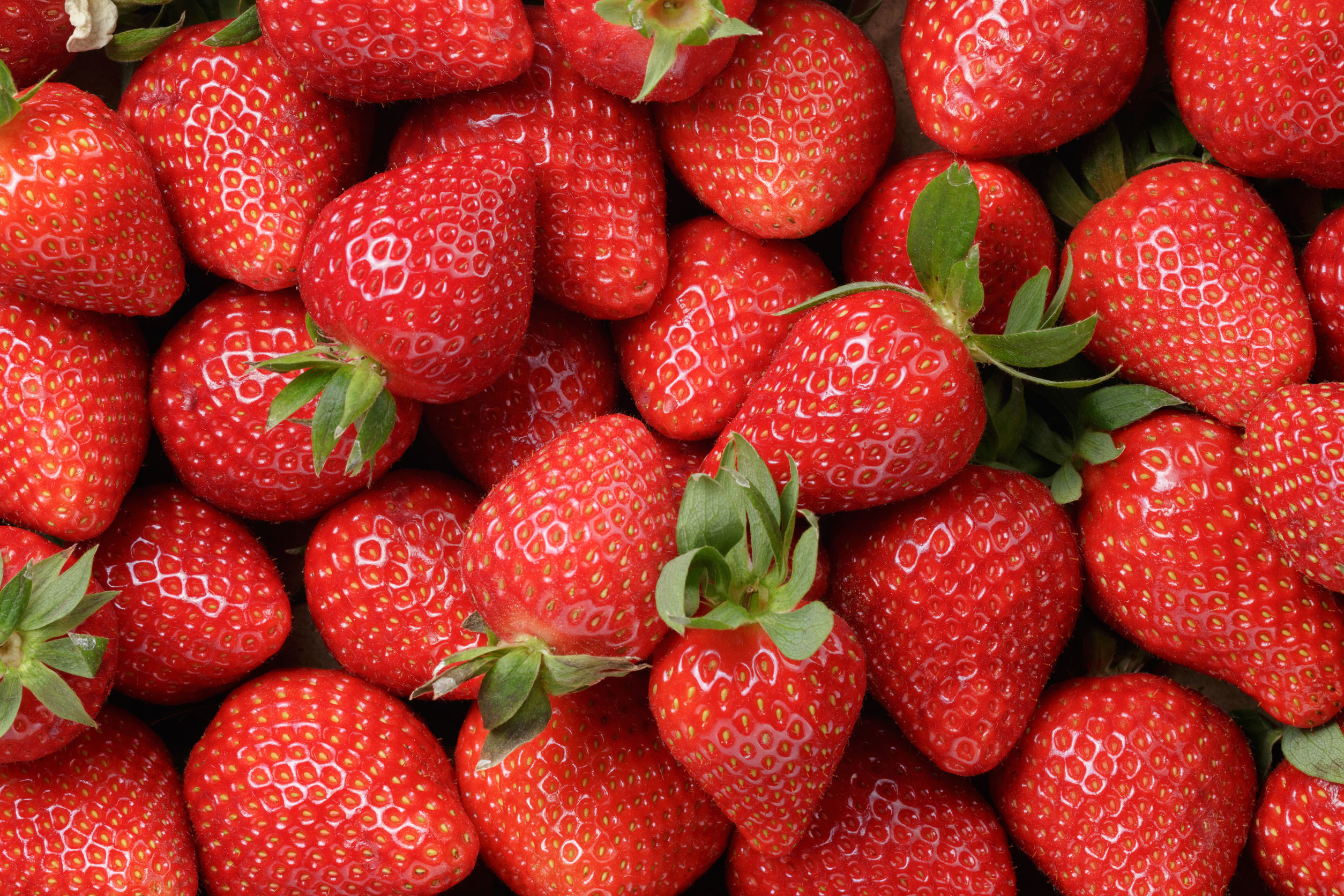 Strawberry – স্ট্রবেরি