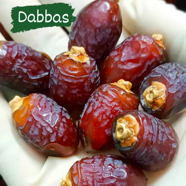 Dabbas Dates