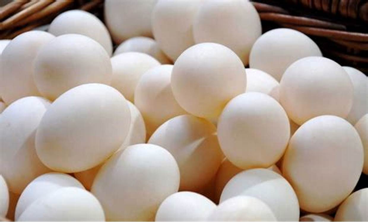 Chicken Eggs(দেশি মুরগির ডিম)