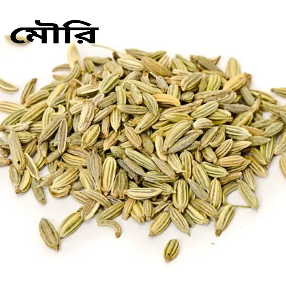 Mouri / Fennel Seeds