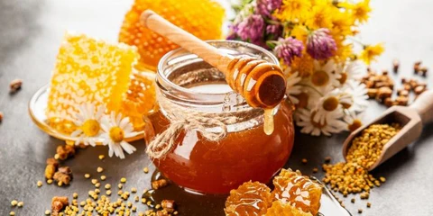 সুন্দরবনের মধু