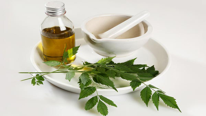 Neem oil/ Nim Tel (Neem Tel)